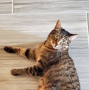 Meet your Posher, Shauna